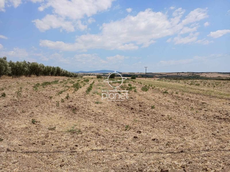 Αγροτεμάχια 6.275 τ.μ. προς πώληση, Κέντρο Επανομής