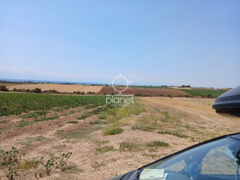 Αγροτεμάχια 6.275 τ.μ. προς πώληση, Κέντρο Επανομής