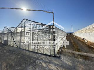 Αγροτεμάχια 4.200 τ.μ. για πώληση, Ν. Λασιθίου, Ιεράπετρα-thumb-15