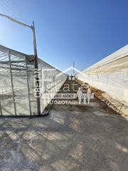 Αγροτεμάχια 4.200 τ.μ. για πώληση, Ν. Λασιθίου, Ιεράπετρα-thumb-14
