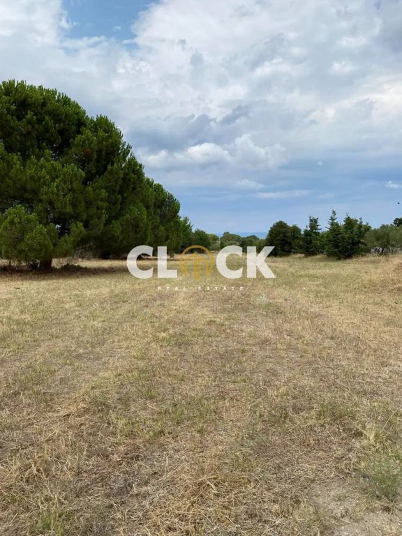 Αγροτεμάχια 4.140 τ.μ. προς πώληση, Χανιώτης