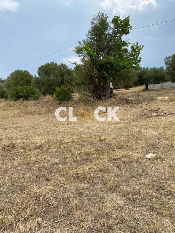 Αγροτεμάχια 4.140 τ.μ. προς πώληση, Χανιώτης
