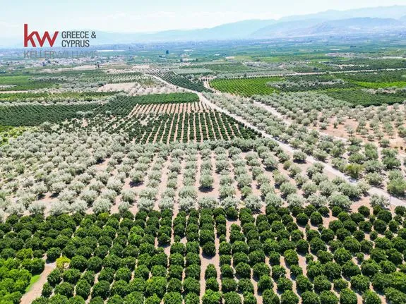 Αγροτεμάχια 8.742 τ.μ. για πώληση, Αργολίδα, Μιδέα