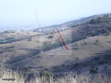 Other 60.000sqm for sale-Migdonia » Center