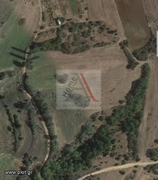 Parcel 13.000sqm for sale-Lachanas » Dorkada
