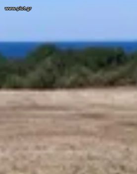 Οικόπεδο 65.000 τ.μ. για πώληση