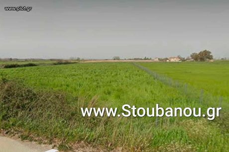 Parcel 6.200sqm for sale-Amaliada » Marathia
