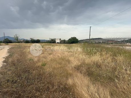 Αγροτεμάχια 3.800 τ.μ. για πώληση