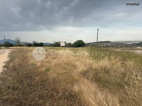 Αγροτεμάχια 3.800 τ.μ. για πώληση, Αργολίδα, Κουτσοπόδι
