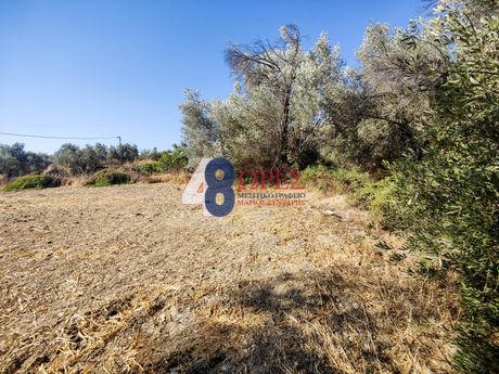 Land plot 916,38sqm for sale-Chios » Chios Town