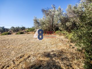 Οικόπεδο 916,38 τ.μ. για πώληση