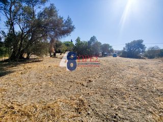 Οικόπεδο 916,38 τ.μ. για πώληση, Ν. Χίου, Χίος-thumb-2