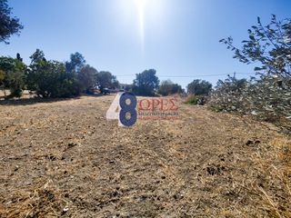 Οικόπεδο 916,38 τ.μ. για πώληση, Ν. Χίου, Χίος-thumb-3