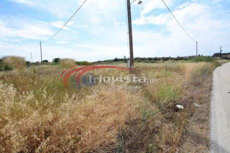 Οικόπεδο 889τ.μ. για πώληση-Κασσάνδρα » Νέα φώκαια