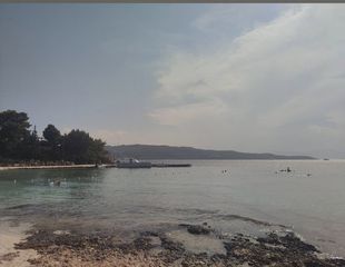 Οικόπεδο 124.000 τ.μ. για πώληση, Αργολίδα, Κρανίδι-thumb-11