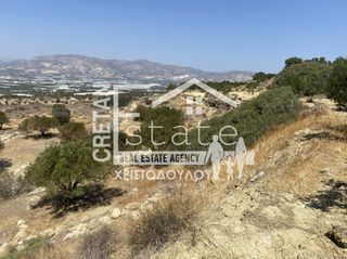 Αγροτεμάχια 6.475 τ.μ. προς πώληση, Βαϊνιά-thumb-6