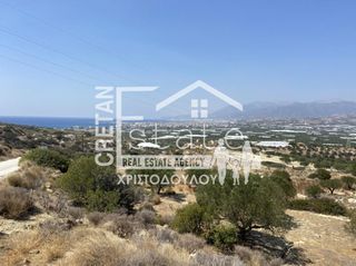 Αγροτεμάχια 6.475 τ.μ. για πώληση