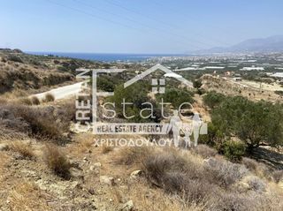 Αγροτεμάχια 6.475 τ.μ. προς πώληση, Βαϊνιά-thumb-13