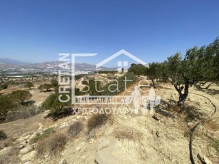 Αγροτεμάχια 6.475 τ.μ. προς πώληση, Βαϊνιά-thumb-2