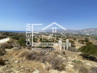 Αγροτεμάχια 6.475 τ.μ. προς πώληση, Βαϊνιά-thumb-9