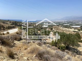 Αγροτεμάχια 6.475 τ.μ. προς πώληση, Βαϊνιά-thumb-4