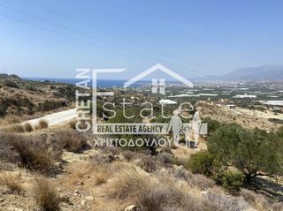 Αγροτεμάχια 6.475 τ.μ. προς πώληση, Βαϊνιά-thumb-11