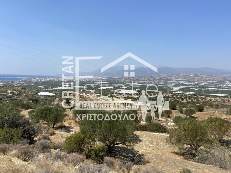Αγροτεμάχια 6.475 τ.μ. προς πώληση, Βαϊνιά