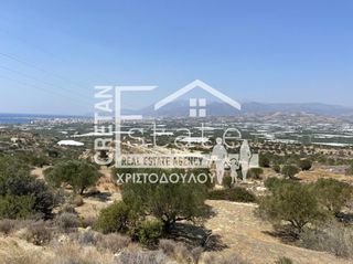 Αγροτεμάχια 6.475 τ.μ. προς πώληση, Βαϊνιά-thumb-3