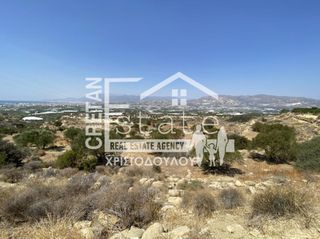 Αγροτεμάχια 6.475 τ.μ. προς πώληση, Βαϊνιά-thumb-8