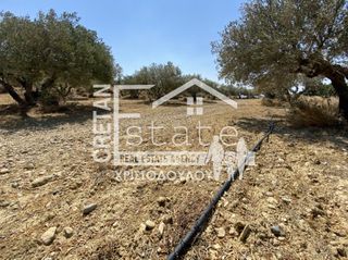Αγροτεμάχια 4.880 τ.μ. για πώληση, Ν. Λασιθίου, Ιεράπετρα-thumb-9