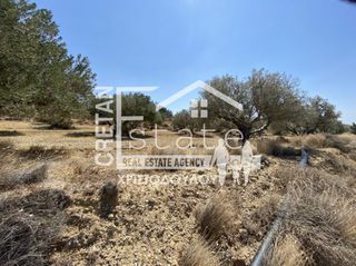 Αγροτεμάχια 4.880 τ.μ. για πώληση, Ν. Λασιθίου, Ιεράπετρα-thumb-5