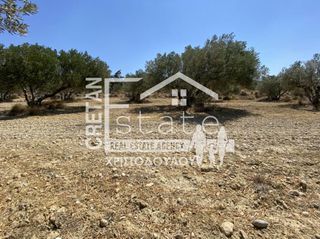 Αγροτεμάχια 4.880 τ.μ. για πώληση, Ν. Λασιθίου, Ιεράπετρα-thumb-10