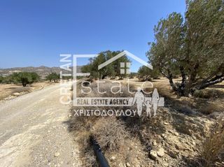 Αγροτεμάχια 4.880 τ.μ. για πώληση, Ν. Λασιθίου, Ιεράπετρα-thumb-7