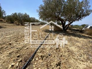 Αγροτεμάχια 4.880 τ.μ. για πώληση, Ν. Λασιθίου, Ιεράπετρα-thumb-8