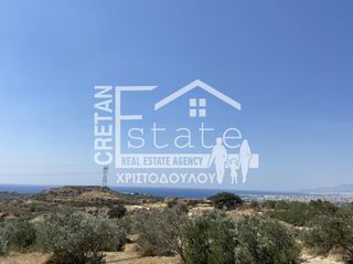 Αγροτεμάχια 4.880 τ.μ. για πώληση, Ν. Λασιθίου, Ιεράπετρα-thumb-3