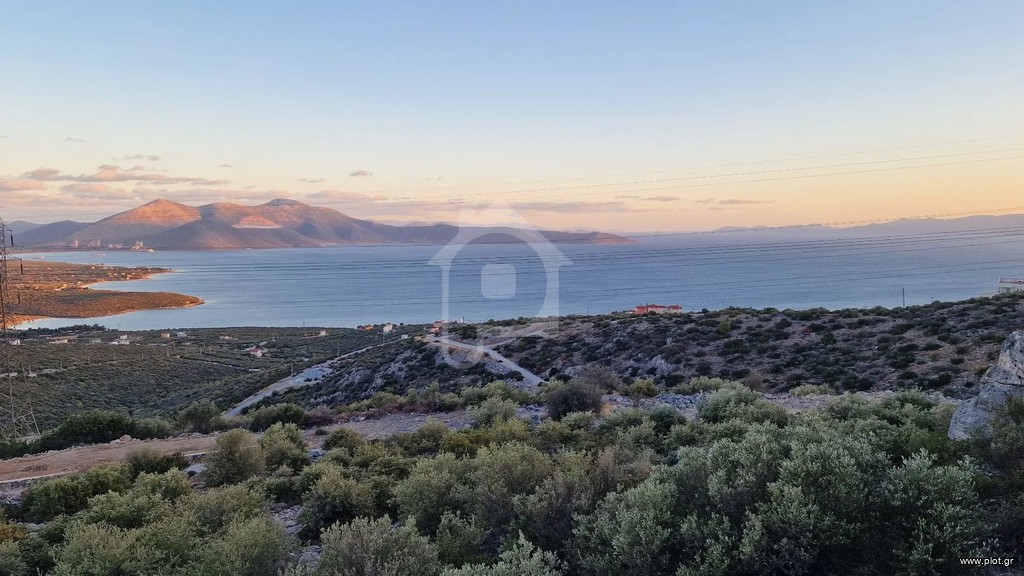 Οικόπεδο 625 τ.μ. για πώληση, Εύβοια, Ταμύνες