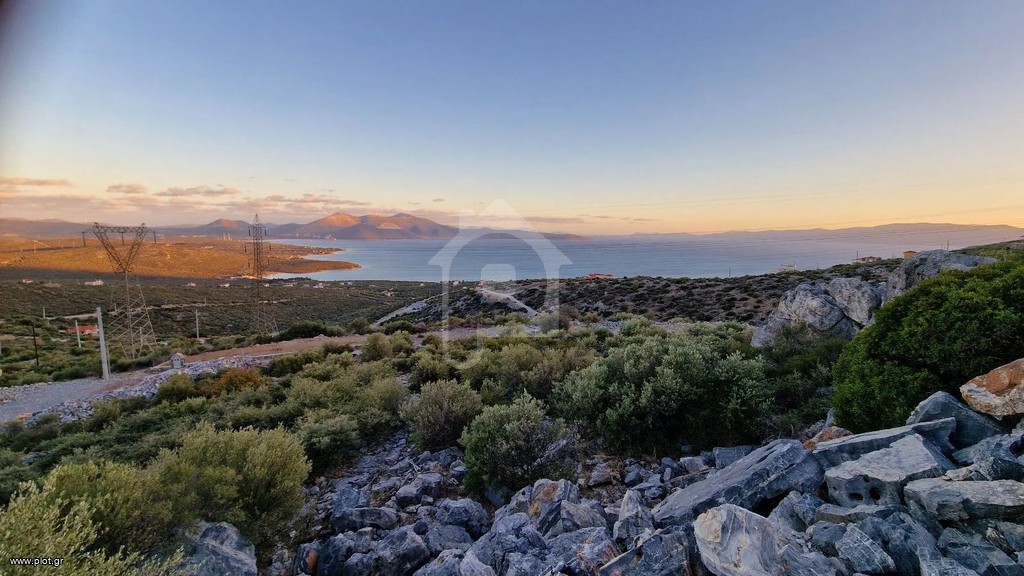 Οικόπεδο 625 τ.μ. πρός πώληση, Εύβοια, Ταμύνες
