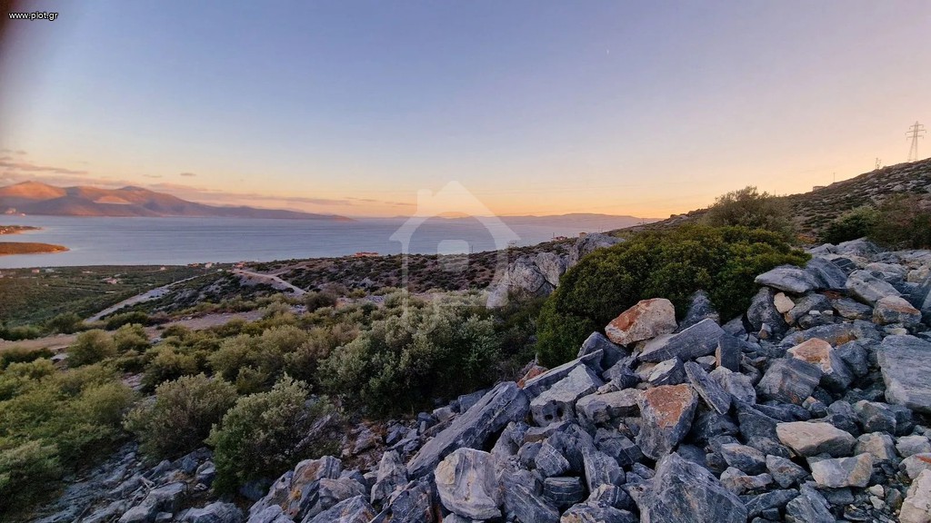 Οικόπεδο 625 τ.μ. πρός πώληση, Εύβοια, Ταμύνες