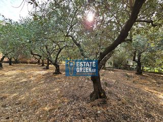 Οικόπεδο 762 τ.μ. για πώληση, Ν. Καβάλας, Ελευθερές-thumb-6