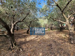 Οικόπεδο 762 τ.μ. για πώληση, Ν. Καβάλας, Ελευθερές-thumb-8