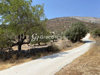 Οικόπεδο 32.000 τ.μ. για πώληση, Εύβοια, Δύστος-thumb-10
