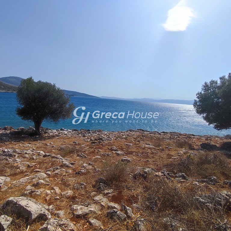 Οικόπεδο 32.000 τ.μ. πρός πώληση, Εύβοια, Δύστος