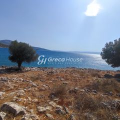 Οικόπεδο 32.000 τ.μ. για πώληση, Εύβοια, Δύστος-thumb-2