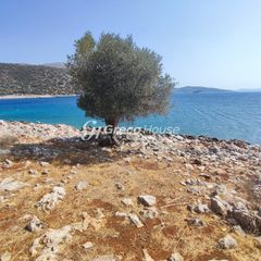 Οικόπεδο 32.000 τ.μ. για πώληση, Εύβοια, Δύστος-thumb-9