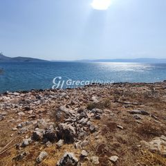 Οικόπεδο 32.000 τ.μ. για πώληση, Εύβοια, Δύστος-thumb-18