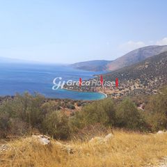 Οικόπεδο 32.000 τ.μ. για πώληση, Εύβοια, Δύστος-thumb-4