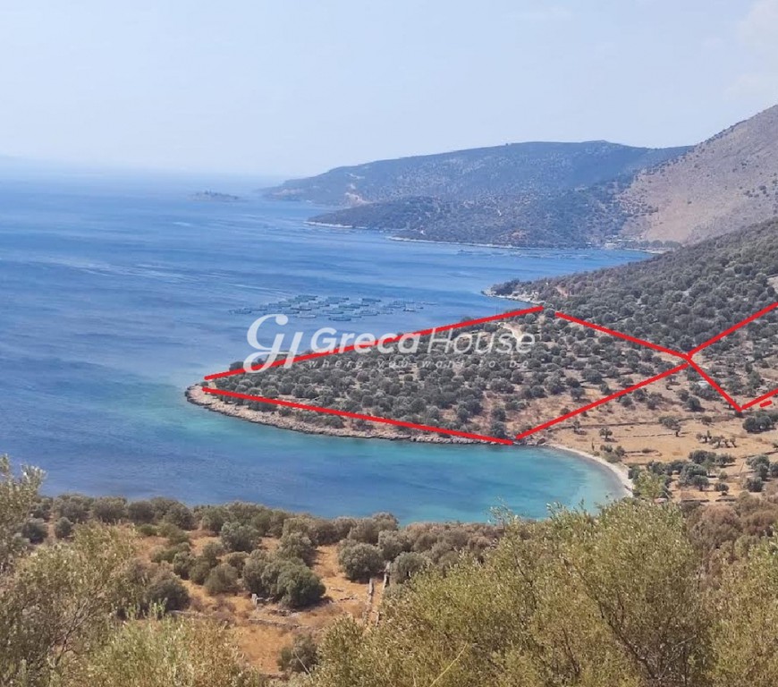 Οικόπεδο 32.000 τ.μ. για πώληση, Εύβοια, Δύστος