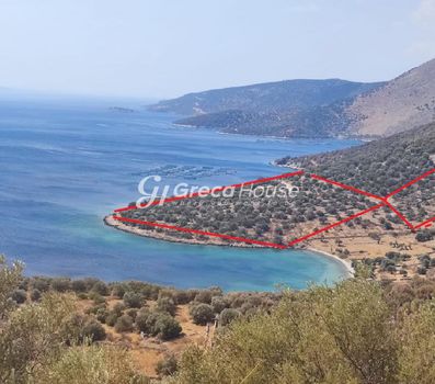 Land plot 32.000sqm for sale-Distos » Mpoufalo