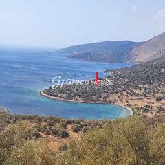 Οικόπεδο 32.000 τ.μ. για πώληση, Εύβοια, Δύστος-thumb-15