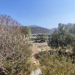 Οικόπεδο 32.000 τ.μ. για πώληση, Εύβοια, Δύστος-thumb-14